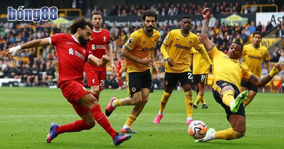 Mẹo Soi Kèo Cup C2 Cực Kỳ Hiệu Quả Dành Cho Tân Binh