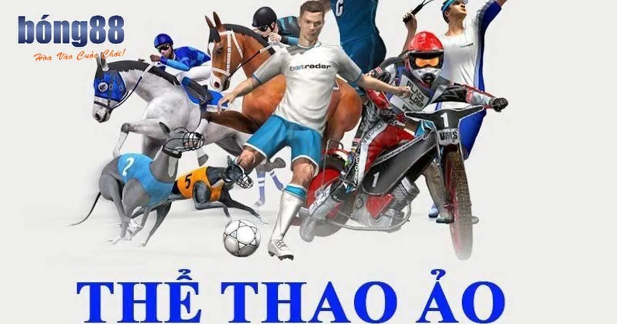 Những bộ môn thể thao được yêu thích tại Bong88