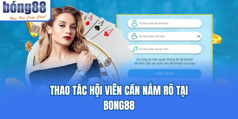Thao tác hội viên cần nắm rõ tại Bong88